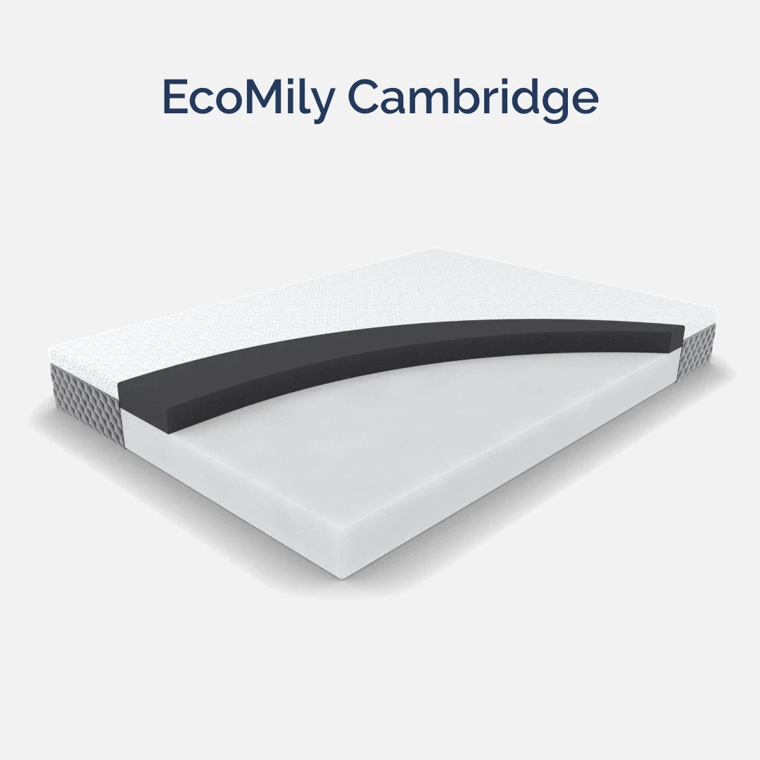 Матрас ортопедический двуспальный 2000х2000х220 мм ECOMILY Белый Cambridge